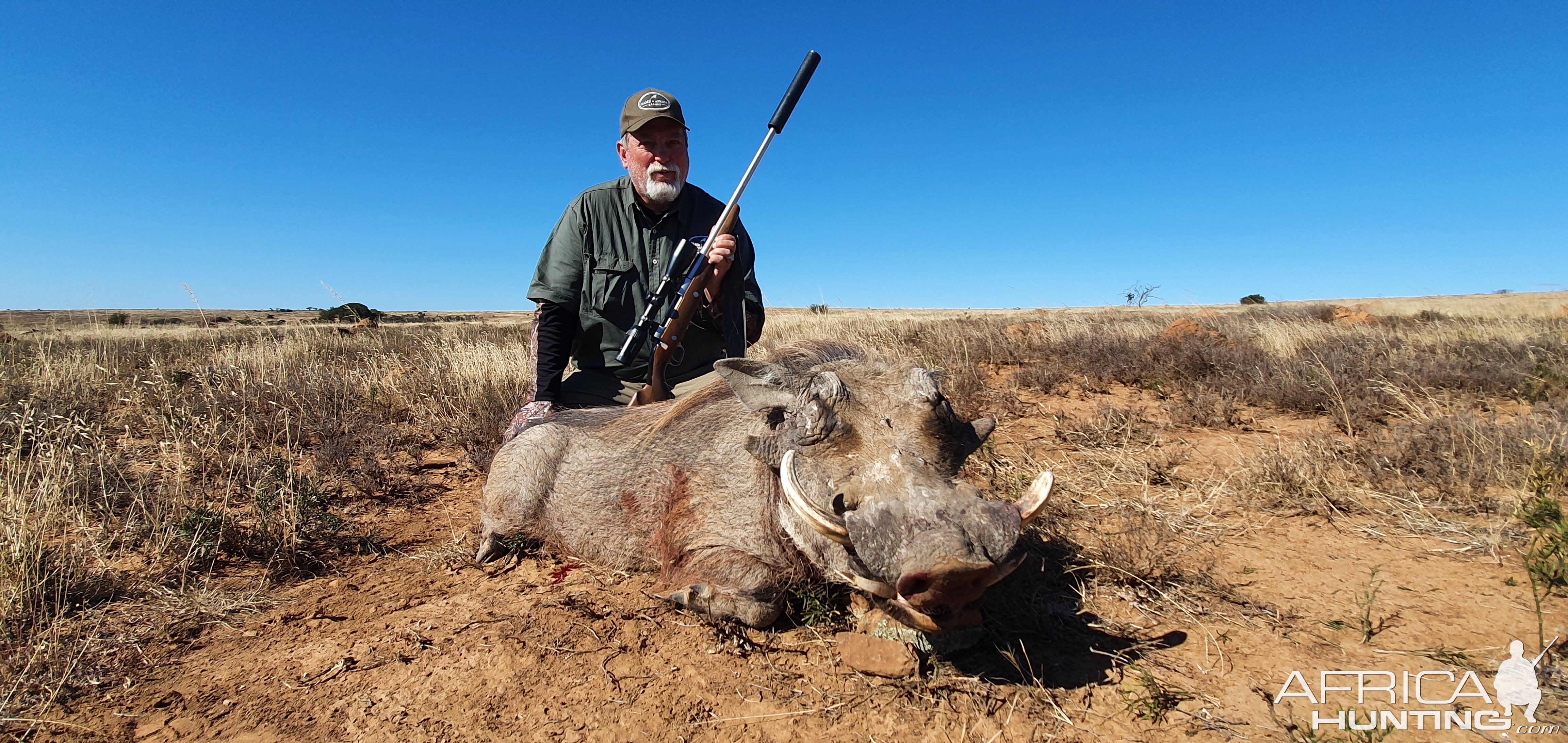 Warthog Hunt South Africa