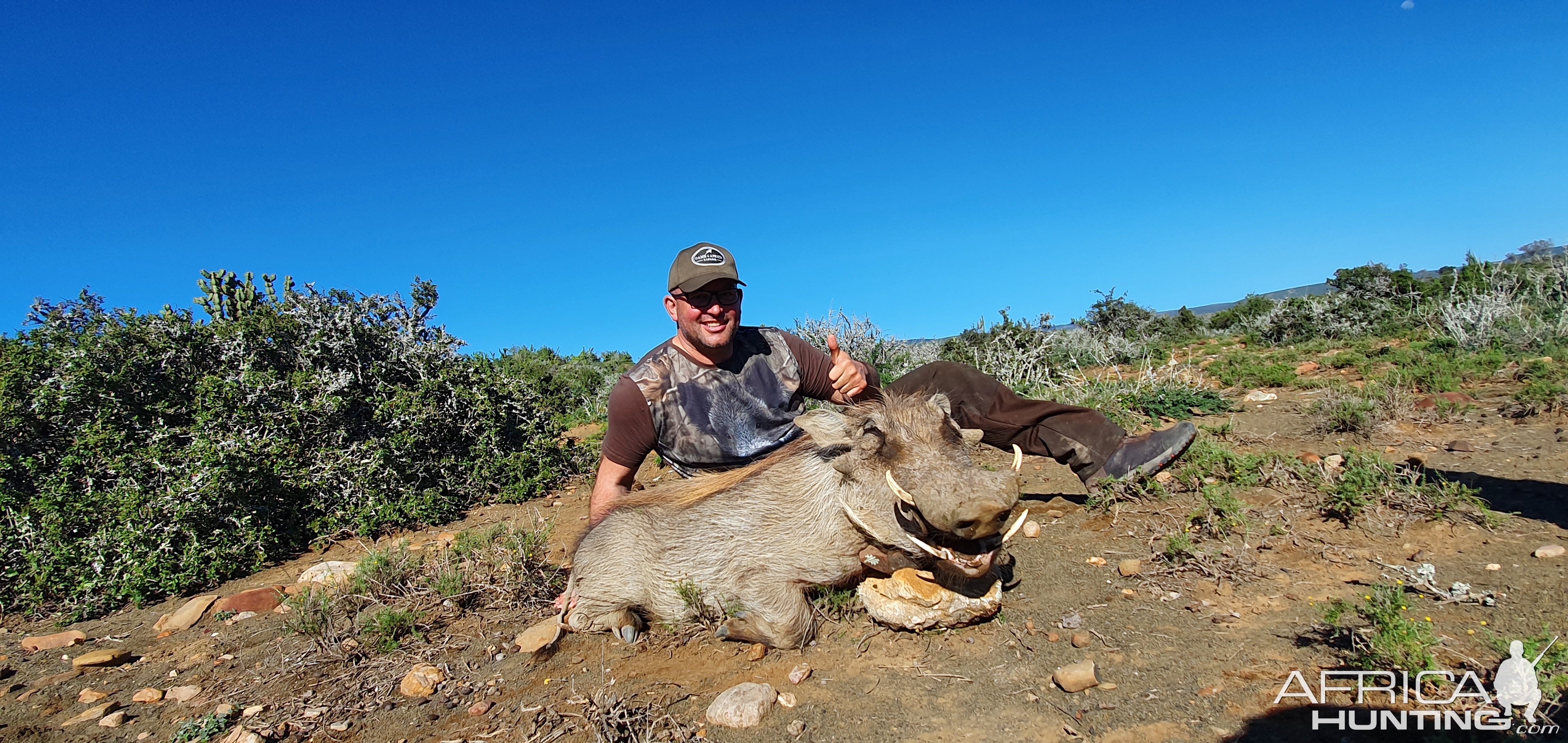 Warthog Hunt South Africa