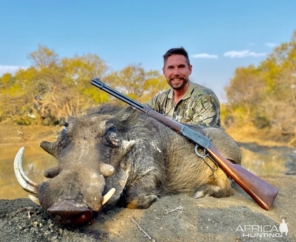 Warthog Hunt South Africa