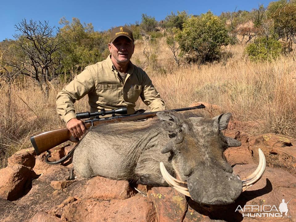 Warthog Hunt South Africa