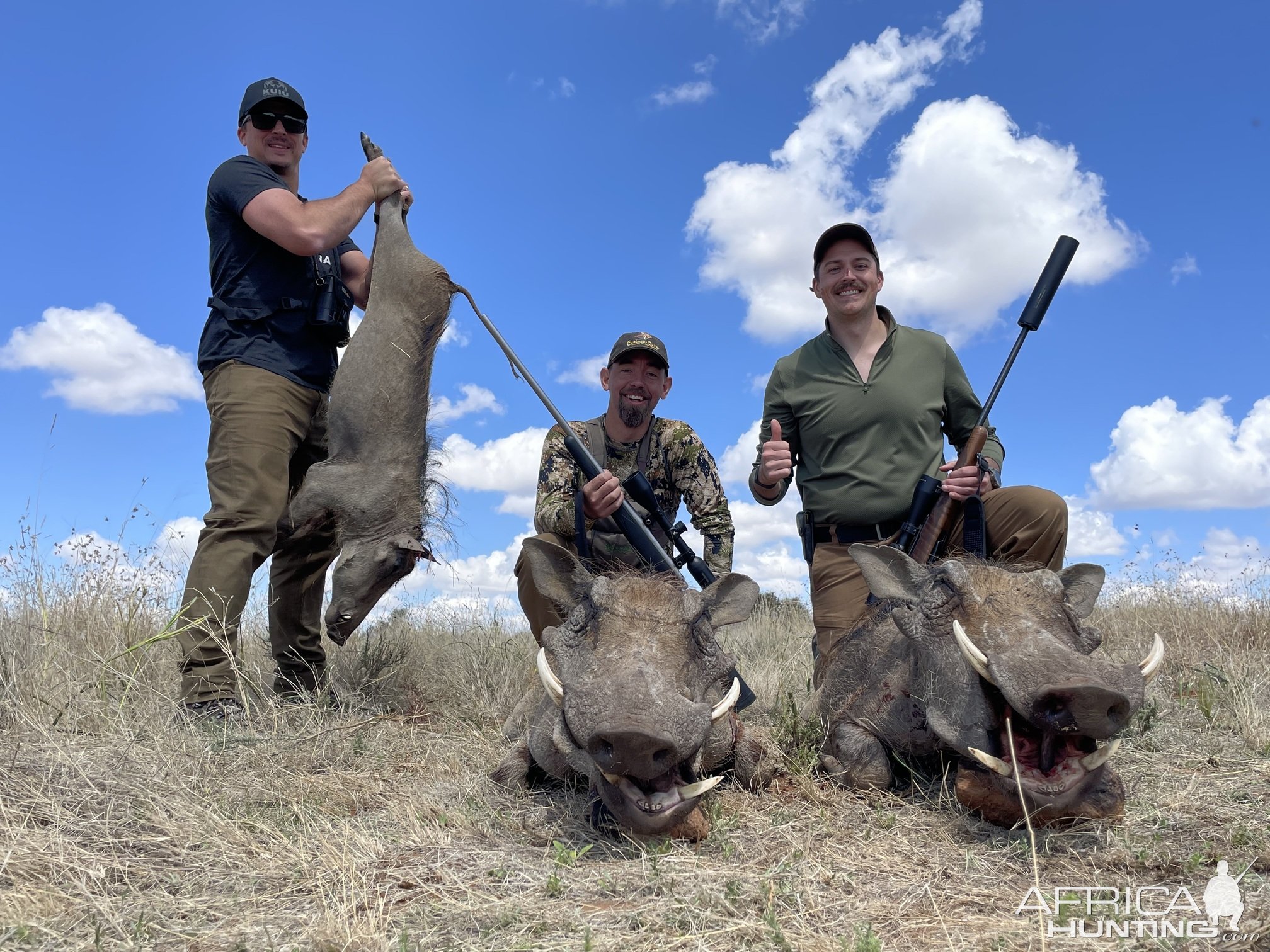 Warthog Hunt South Africa