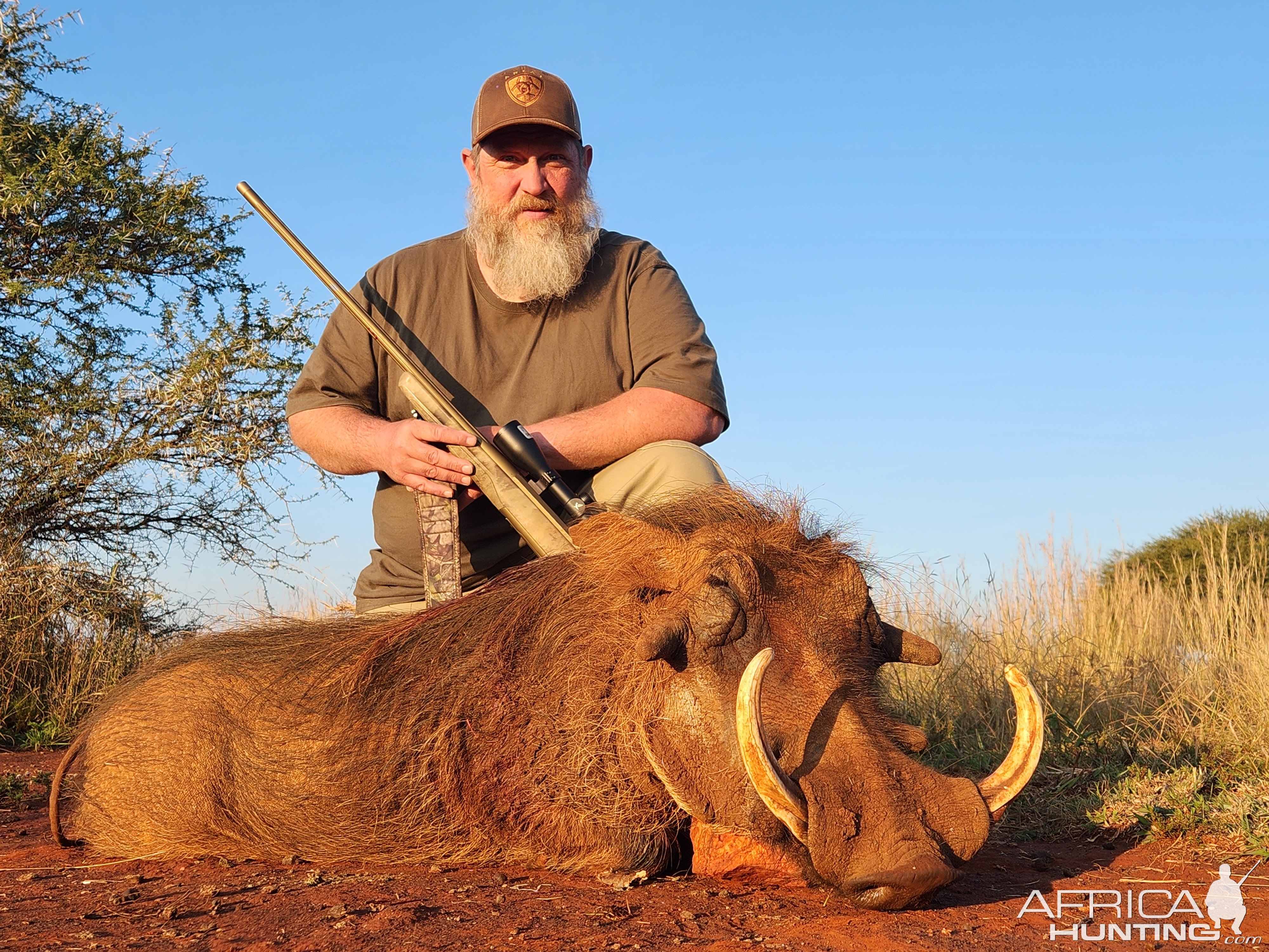 Warthog Hunt South Africa