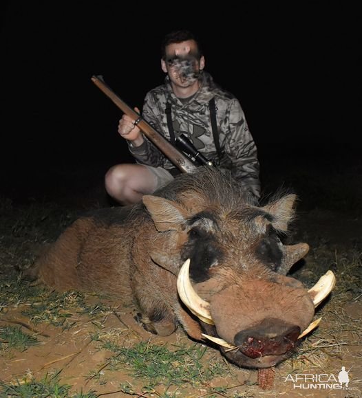 Warthog Hunt South Africa