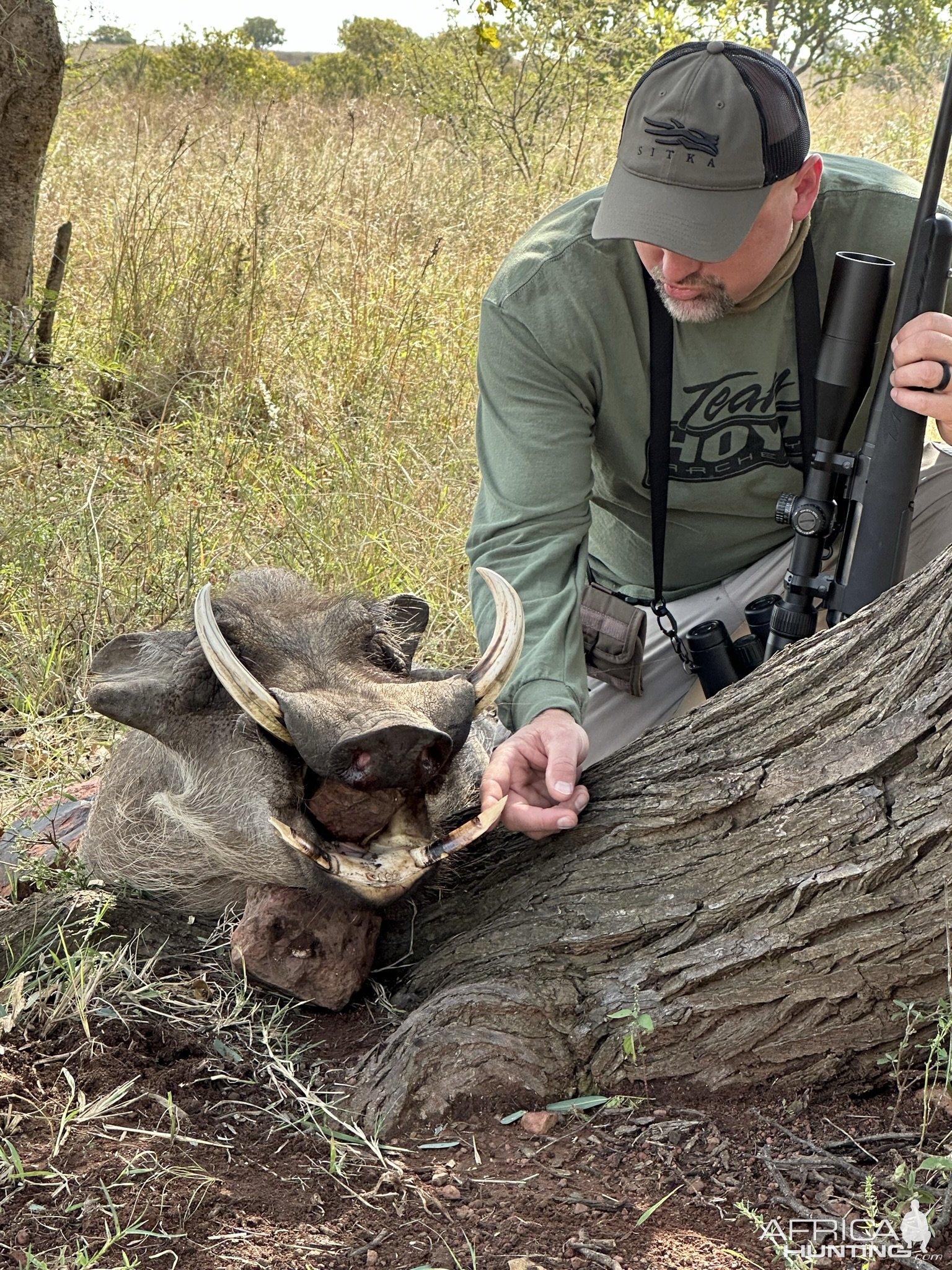 Warthog Hunt South Africa