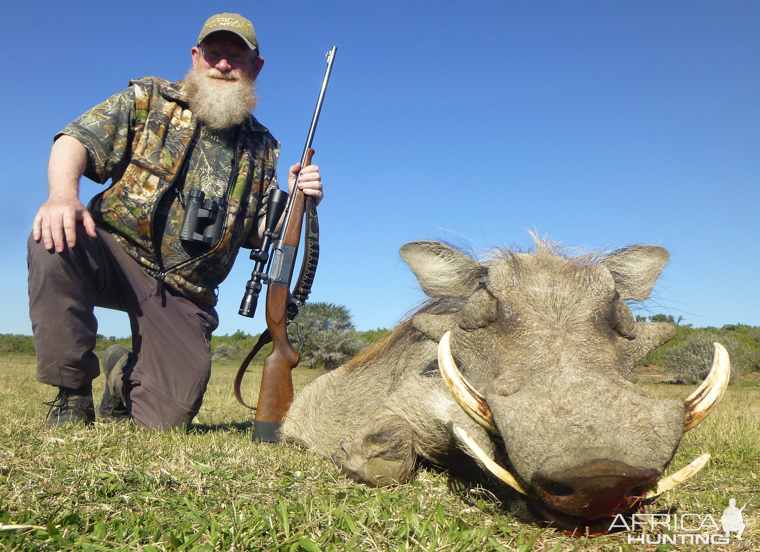 Warthog Hunt South Africa