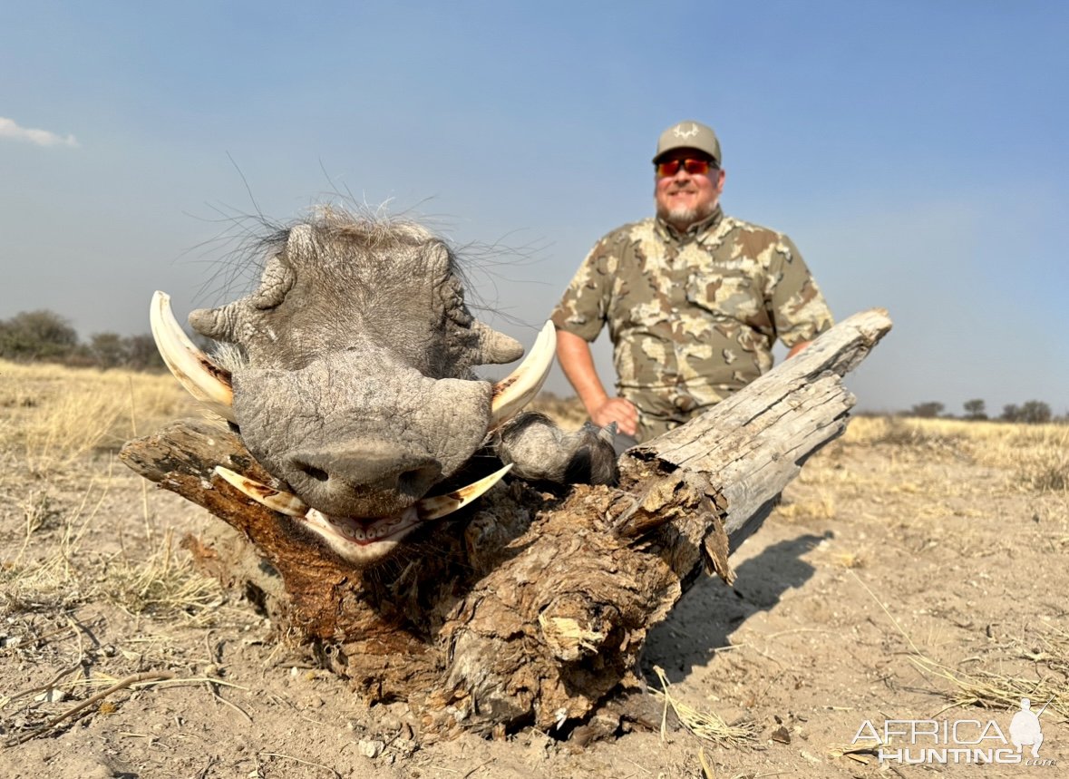 Warthog Hunt South Africa