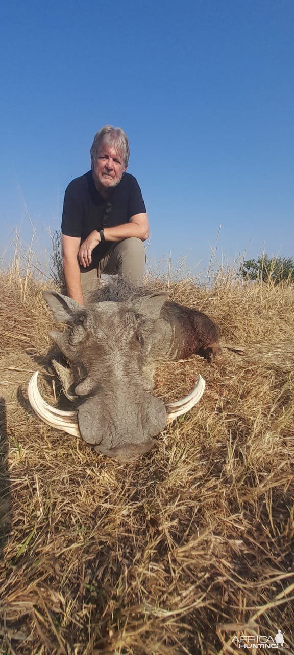 Warthog Hunt South Africa