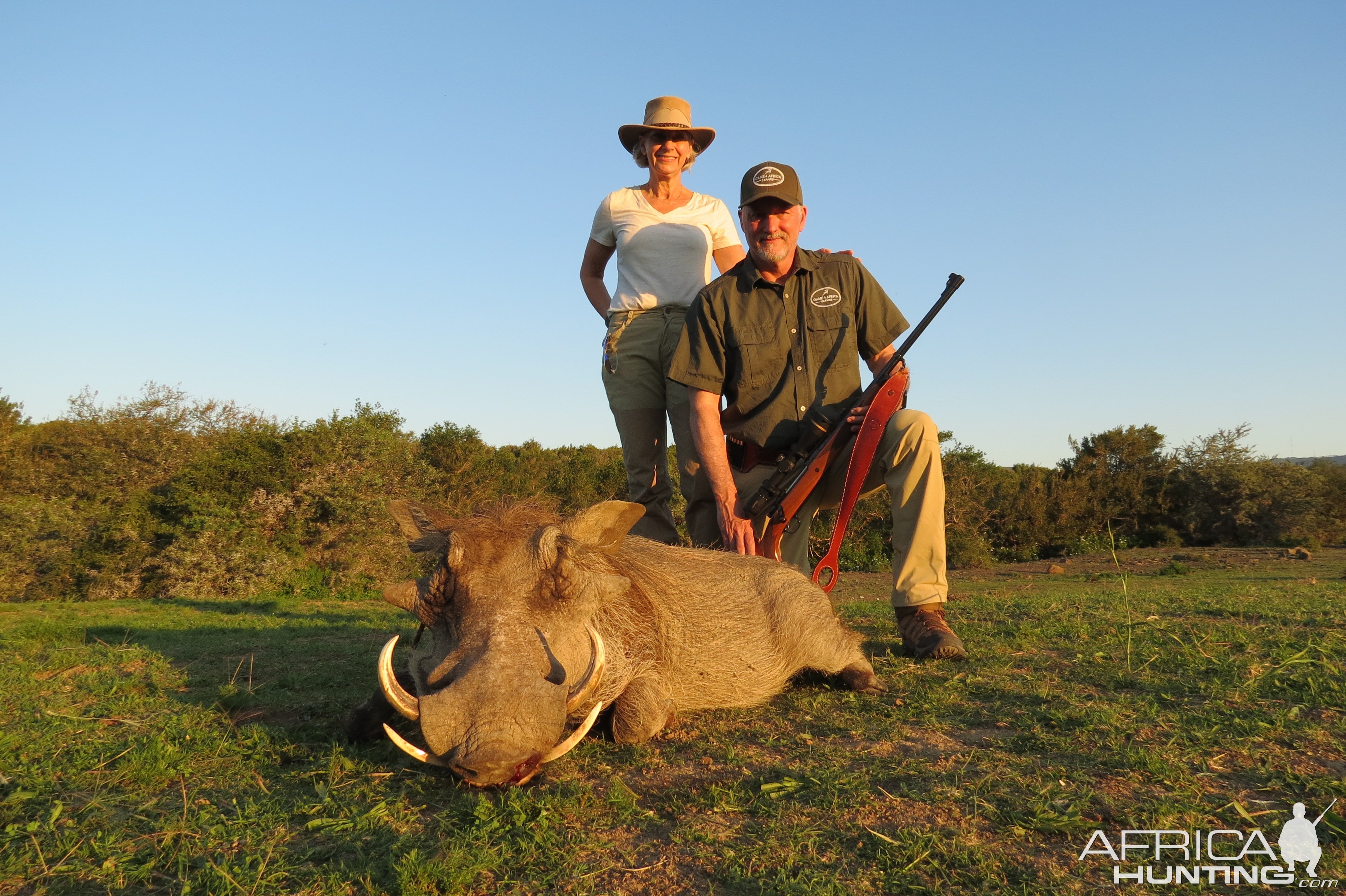 Warthog Hunt South Africa