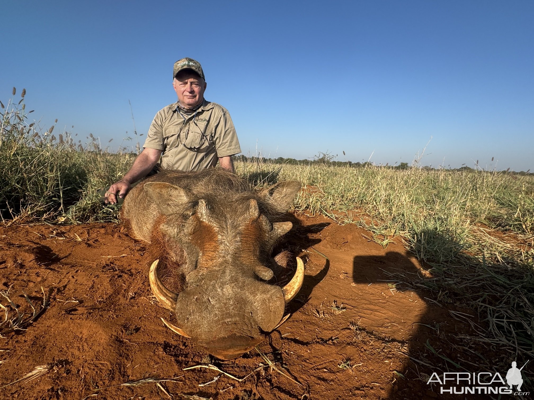 Warthog Hunt South Africa