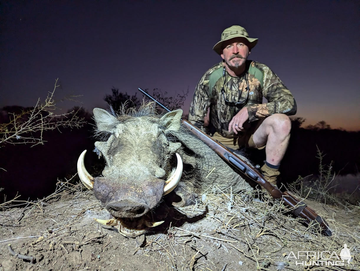 Warthog Hunt South Africa