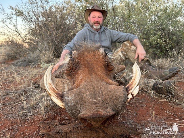 Warthog Hunt South Africa