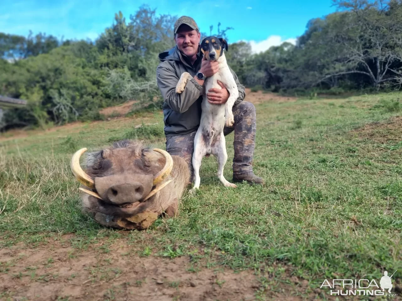 Warthog Hunt South Africa