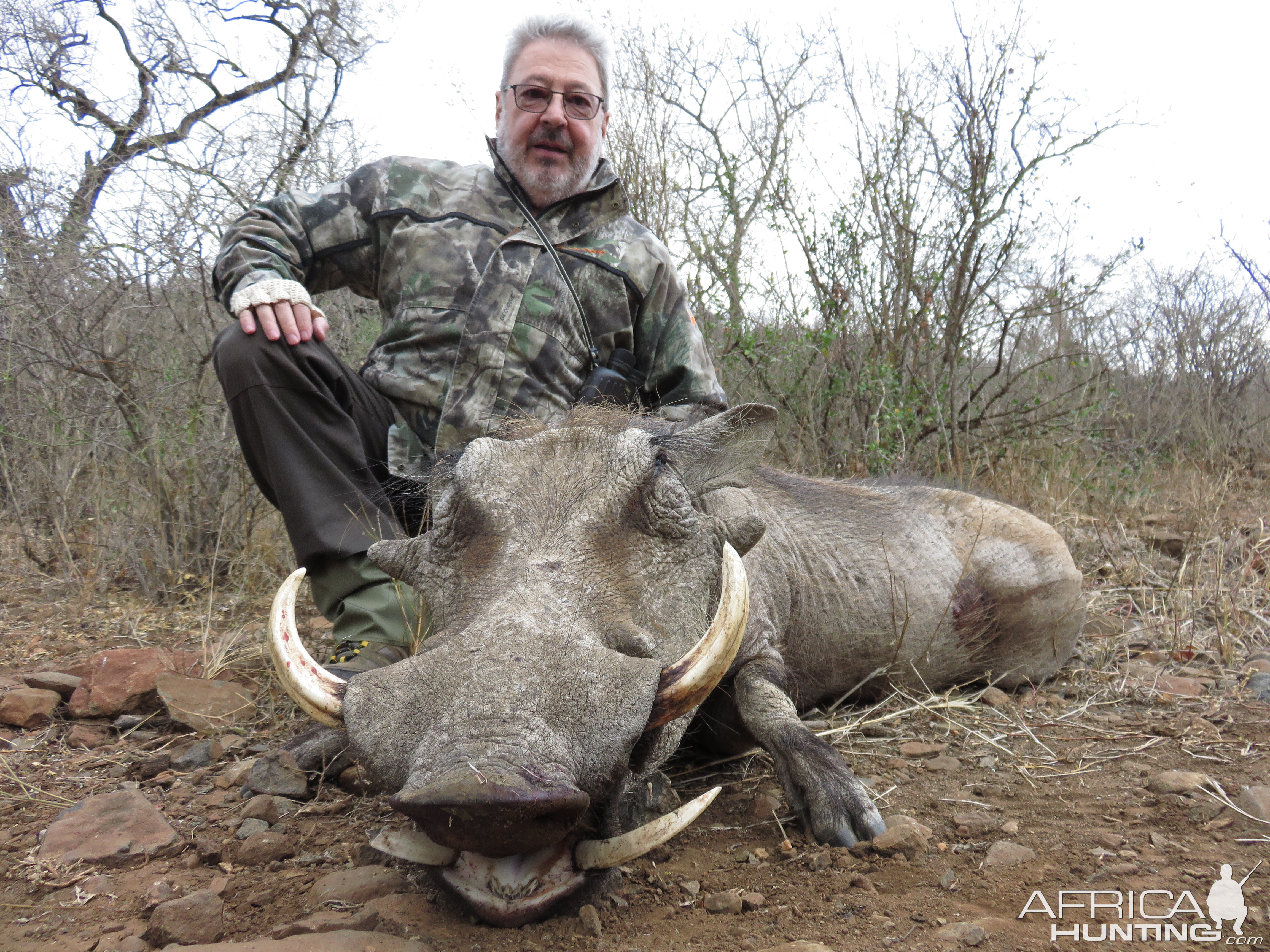 Warthog Hunt South Africa