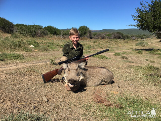 Warthog Hunt South Africa