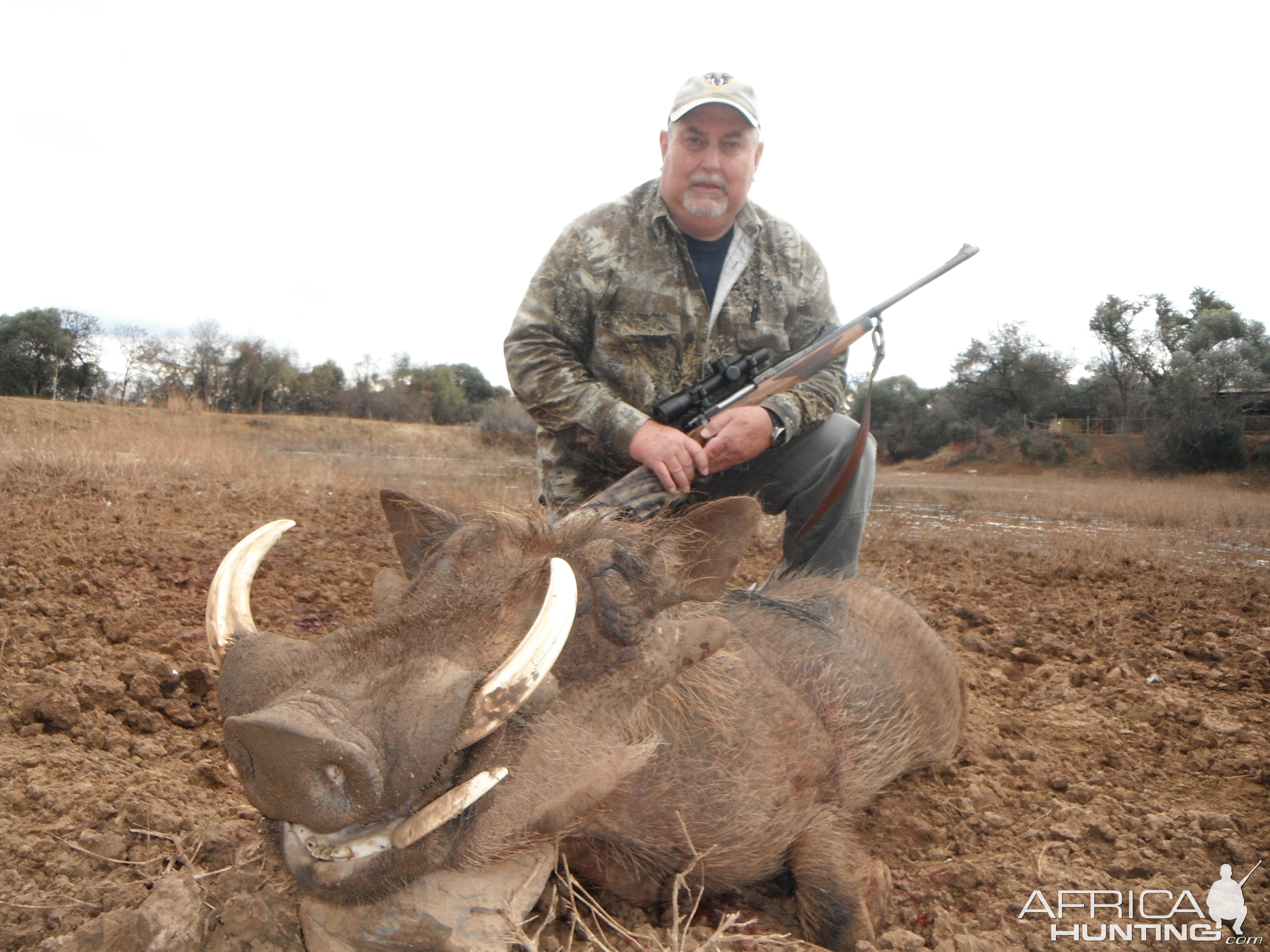 Warthog Hunt South Africa