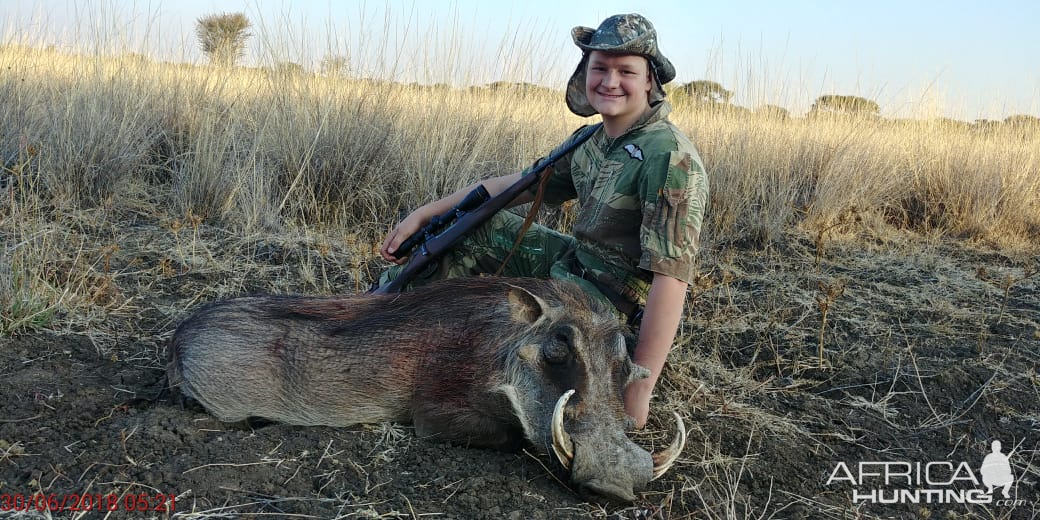 Warthog Hunt South Africa