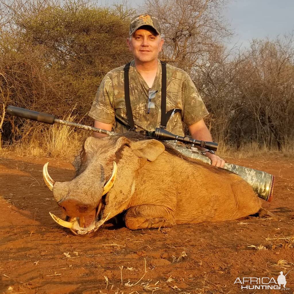 Warthog Hunt South Africa