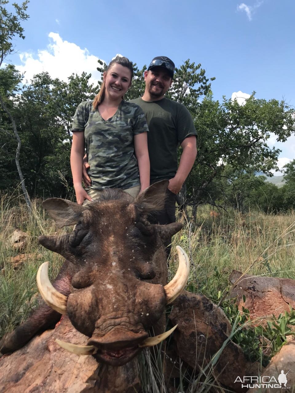 Warthog Hunt South Africa