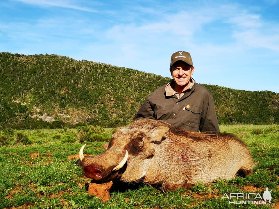 Warthog Hunt South Africa