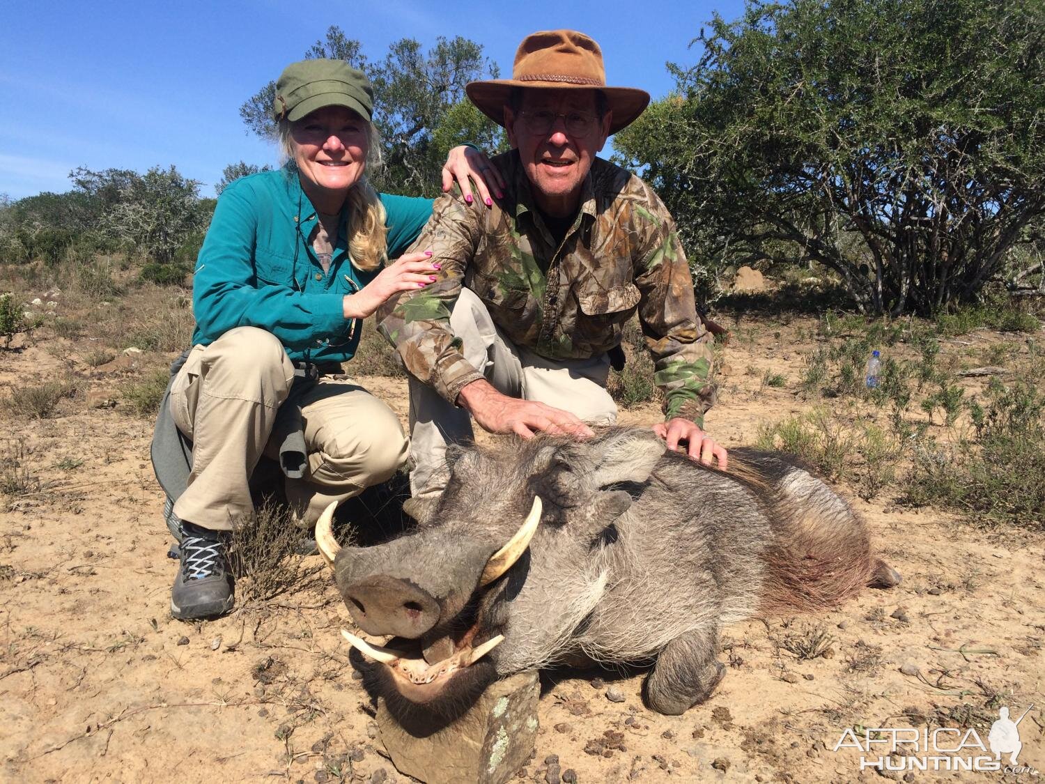 Warthog Hunt South Africa