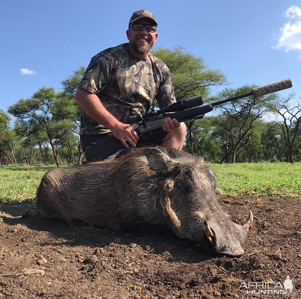 Warthog Hunt South Africa