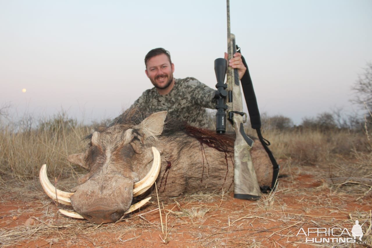 Warthog Hunt South Africa