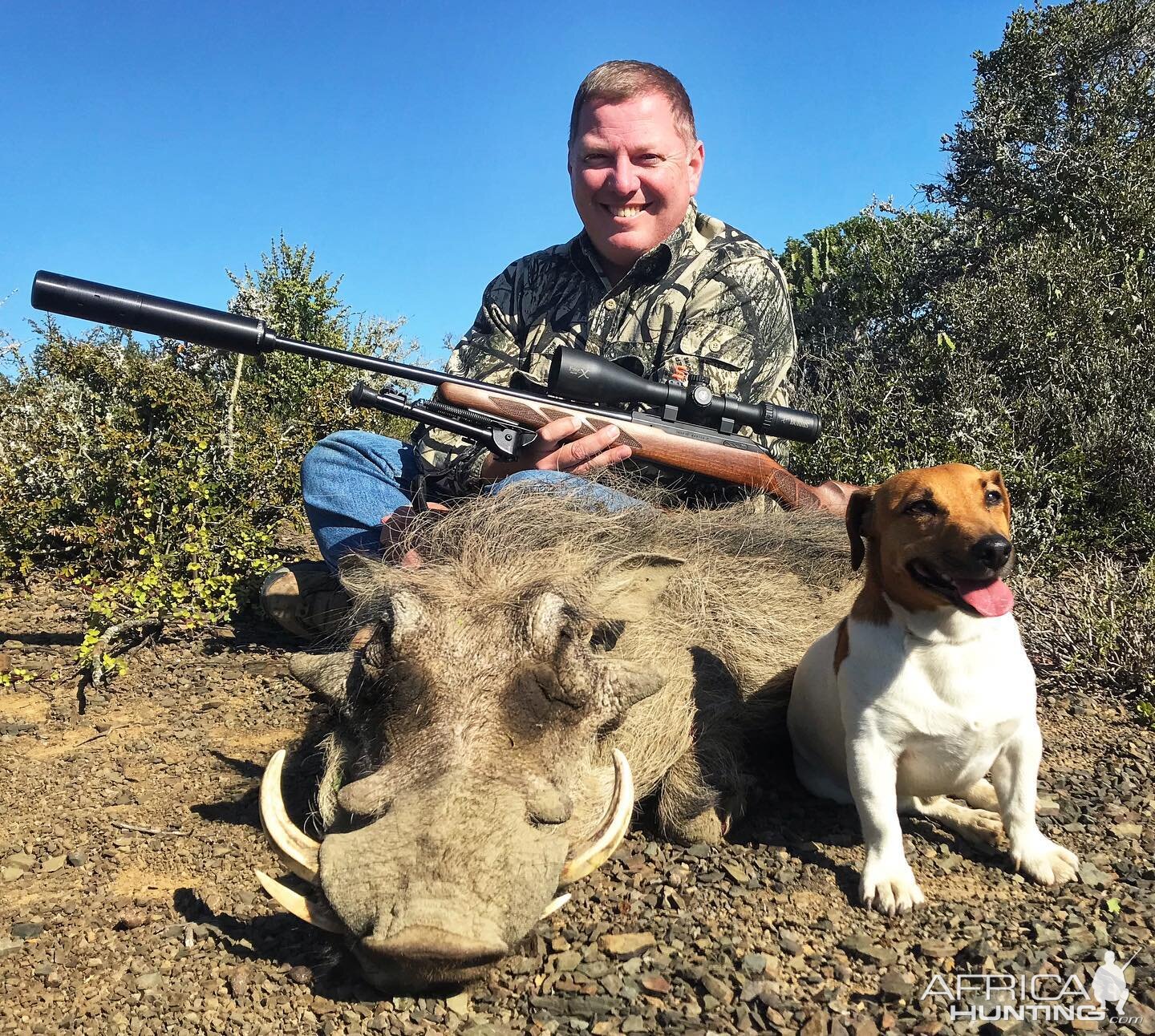 Warthog Hunt South Africa