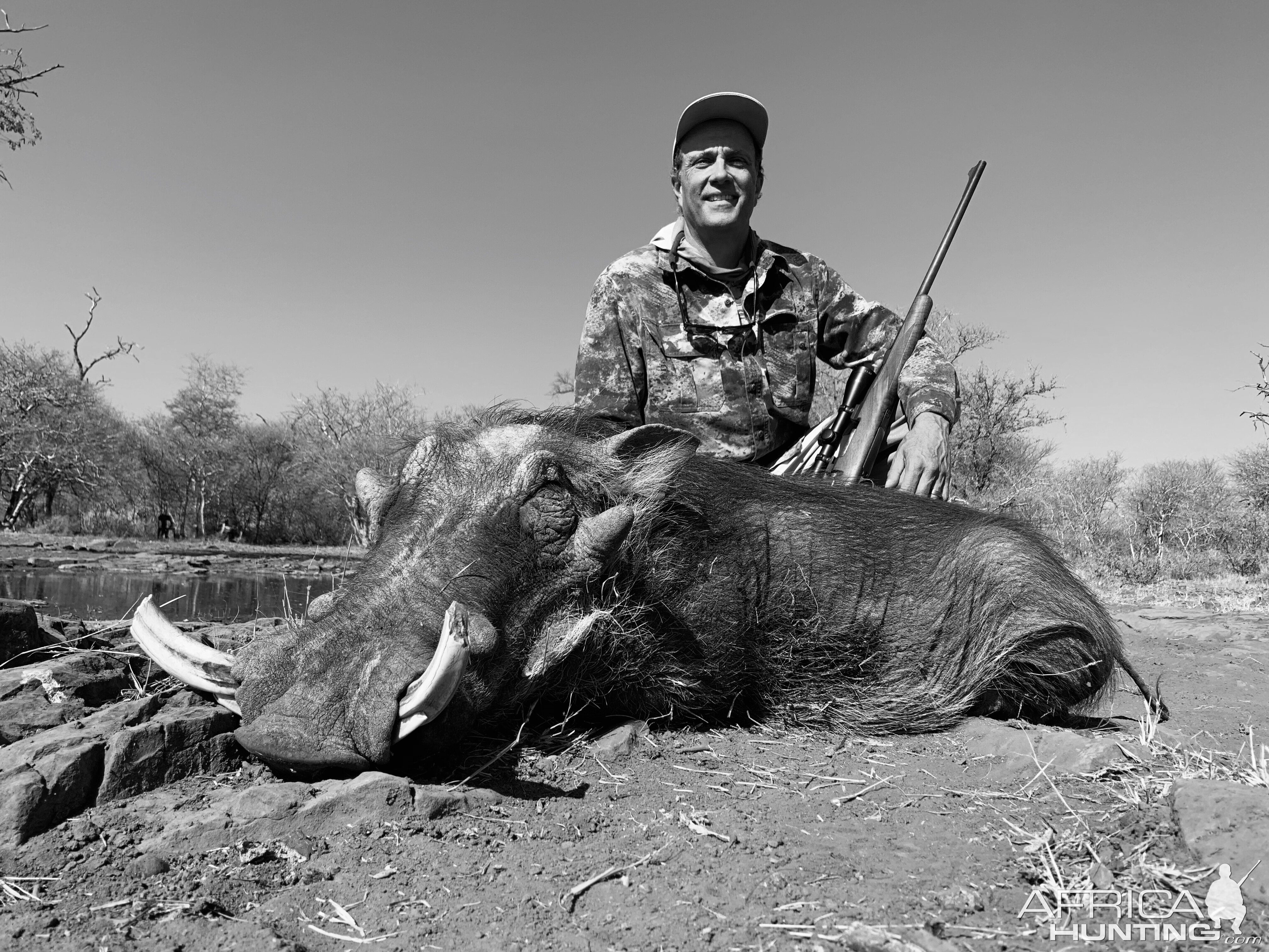 Warthog Hunt South Africa