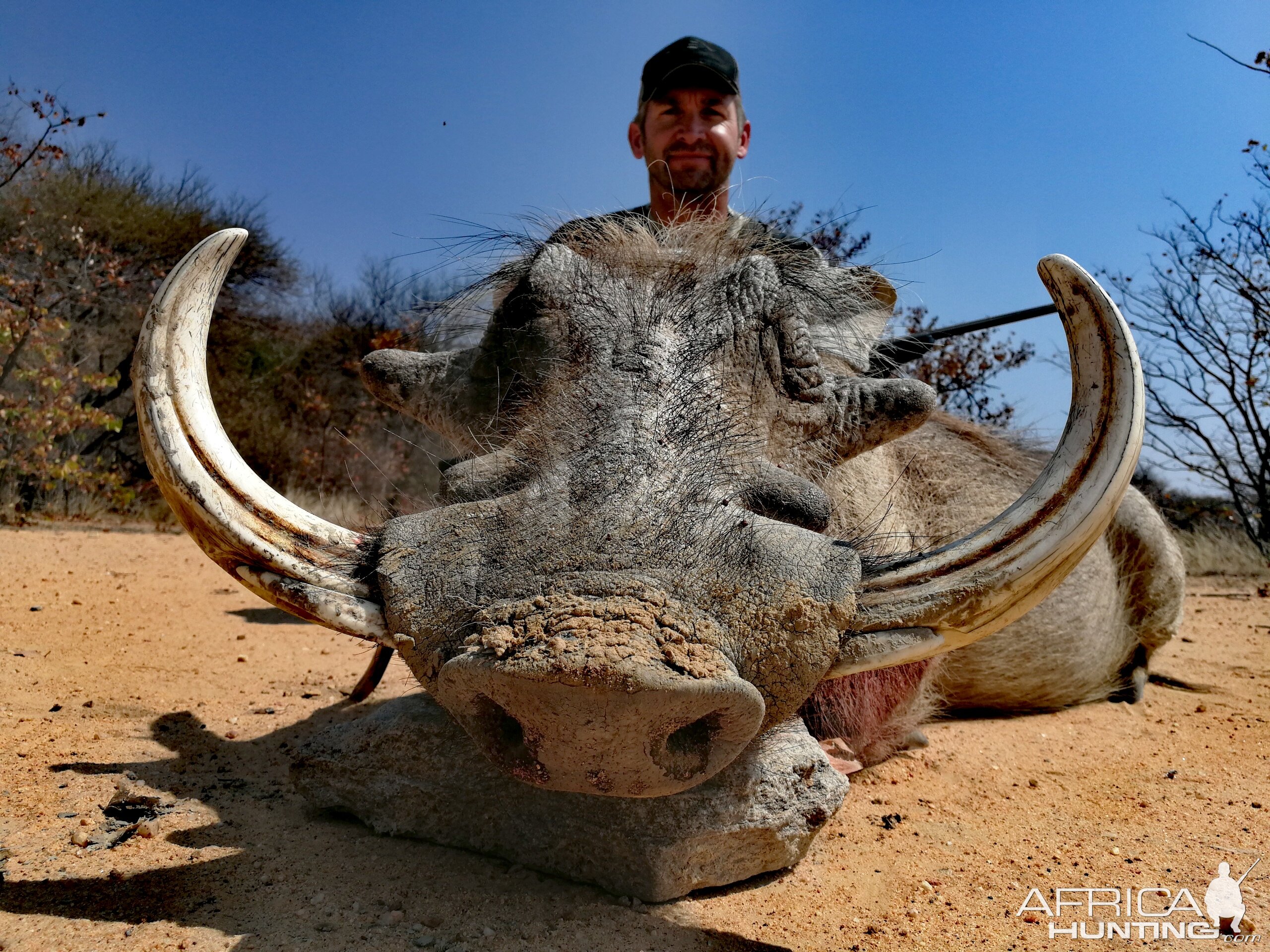 Warthog Hunt South Africa