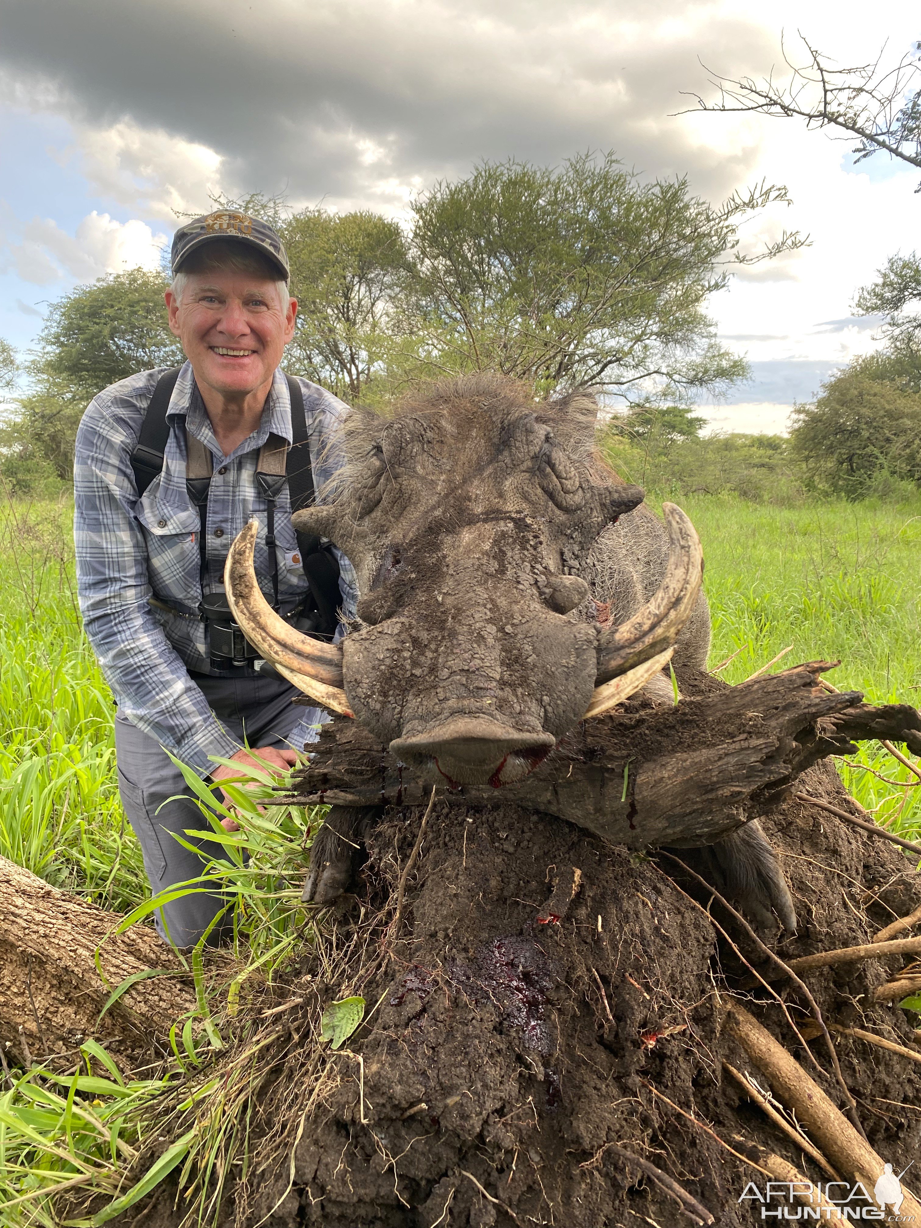 Warthog Hunt Tanzania