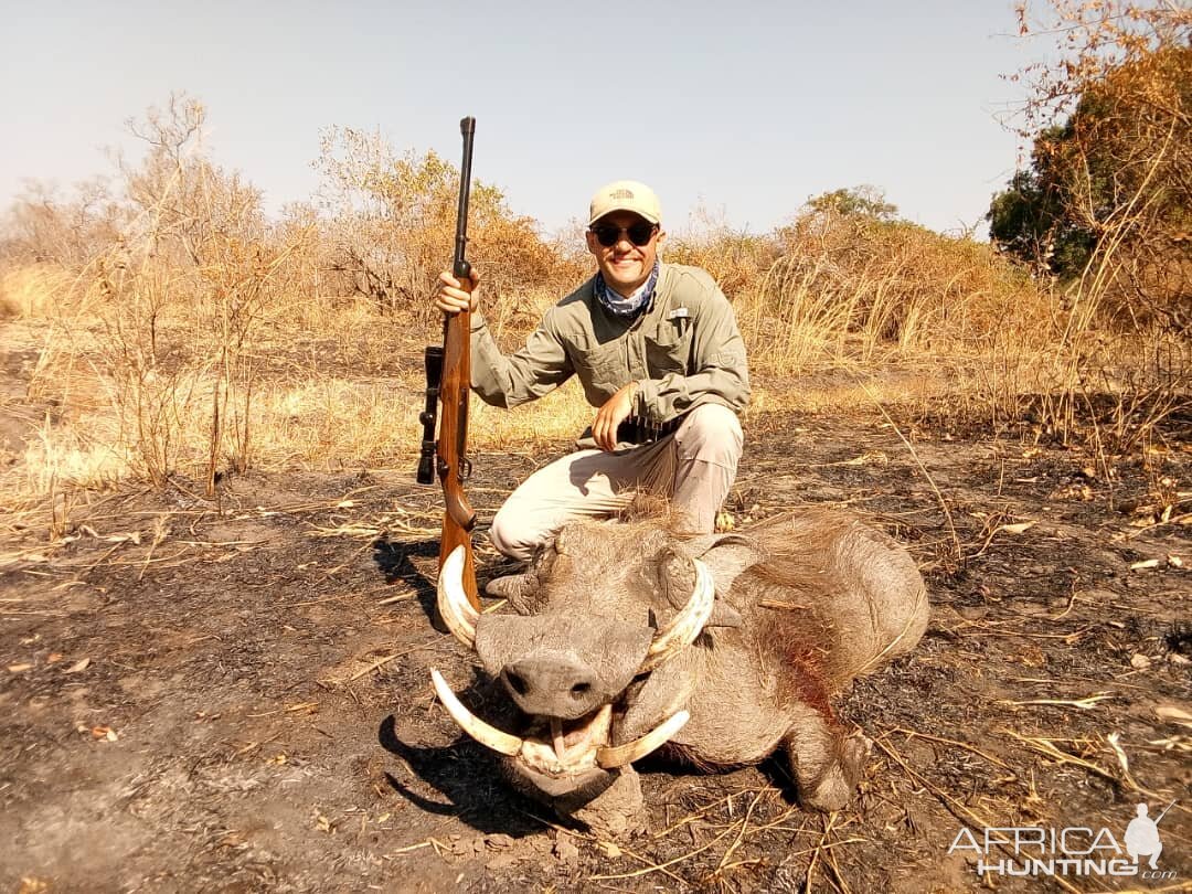 Warthog Hunt Tanzania