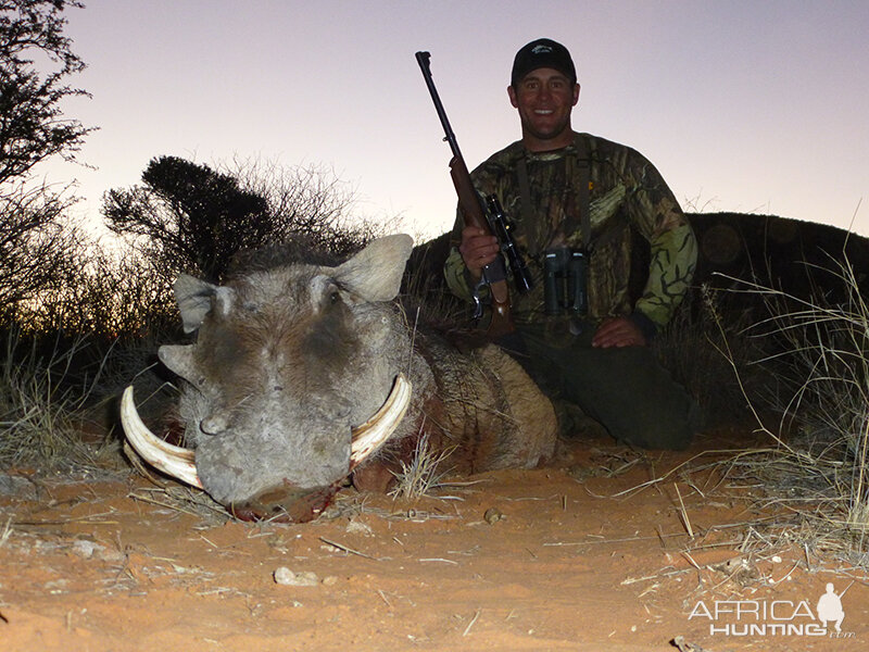 Warthog hunt with Wintershoek Johnny Vivier Safaris