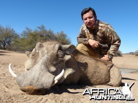 Warthog hunt with Wintershoek Johnny Vivier Safaris