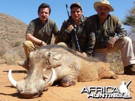 Warthog hunt with Wintershoek Johnny Vivier Safaris