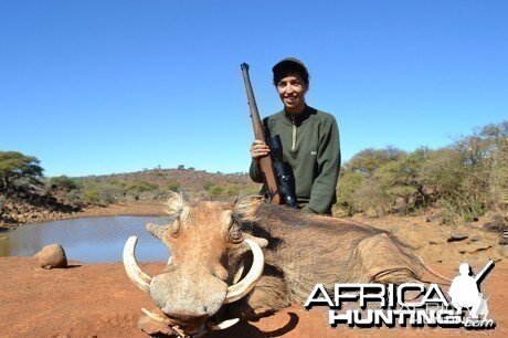 Warthog hunt with Wintershoek Johnny Vivier Safaris