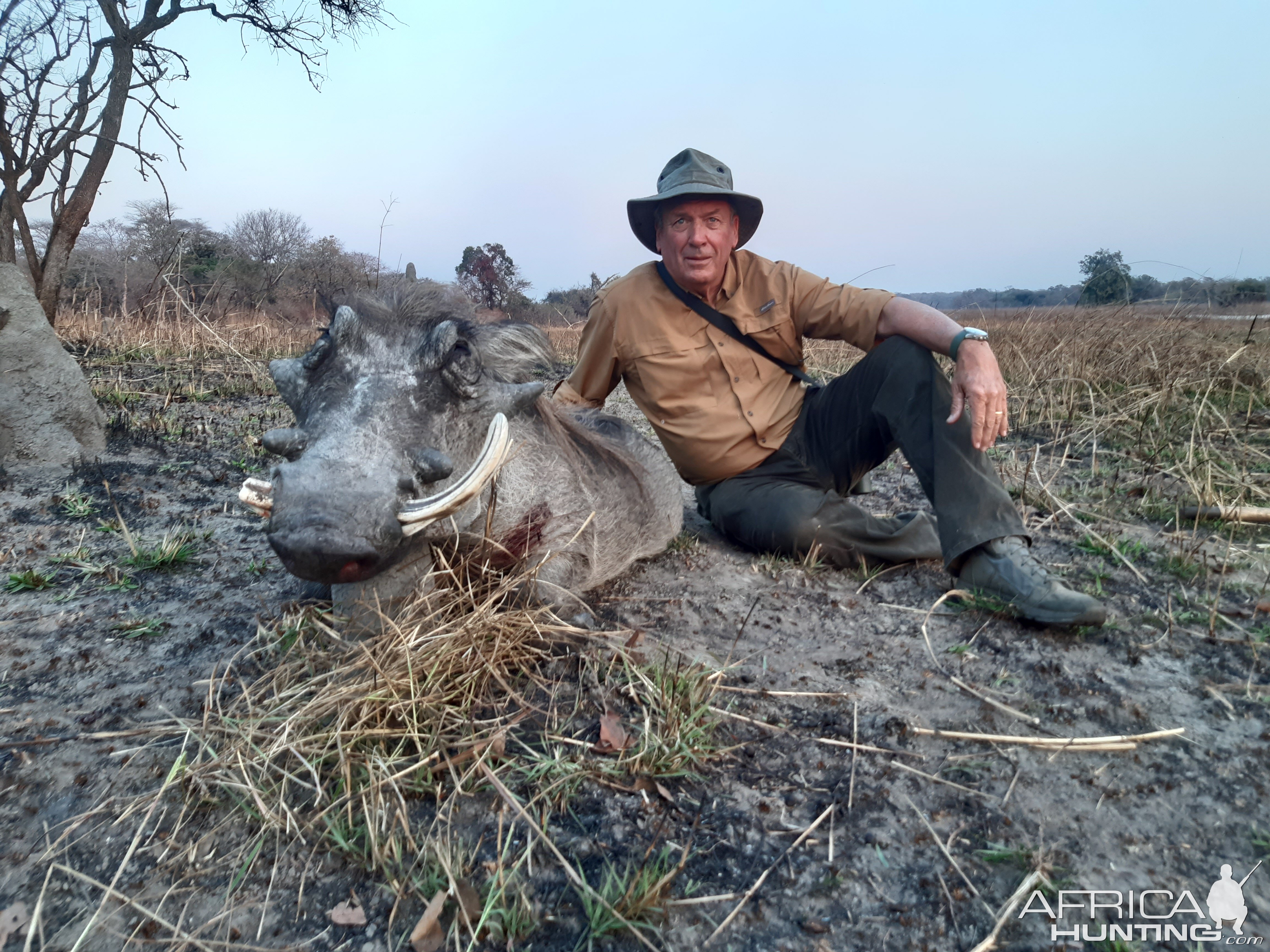 Warthog Hunt Zambia