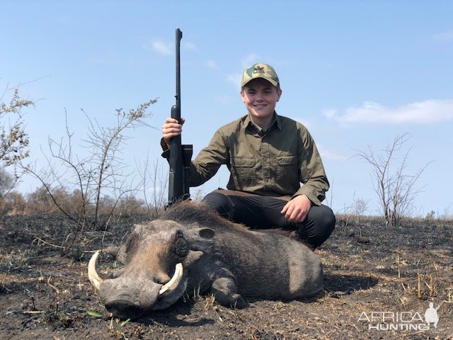 Warthog Hunt Zimbabwe