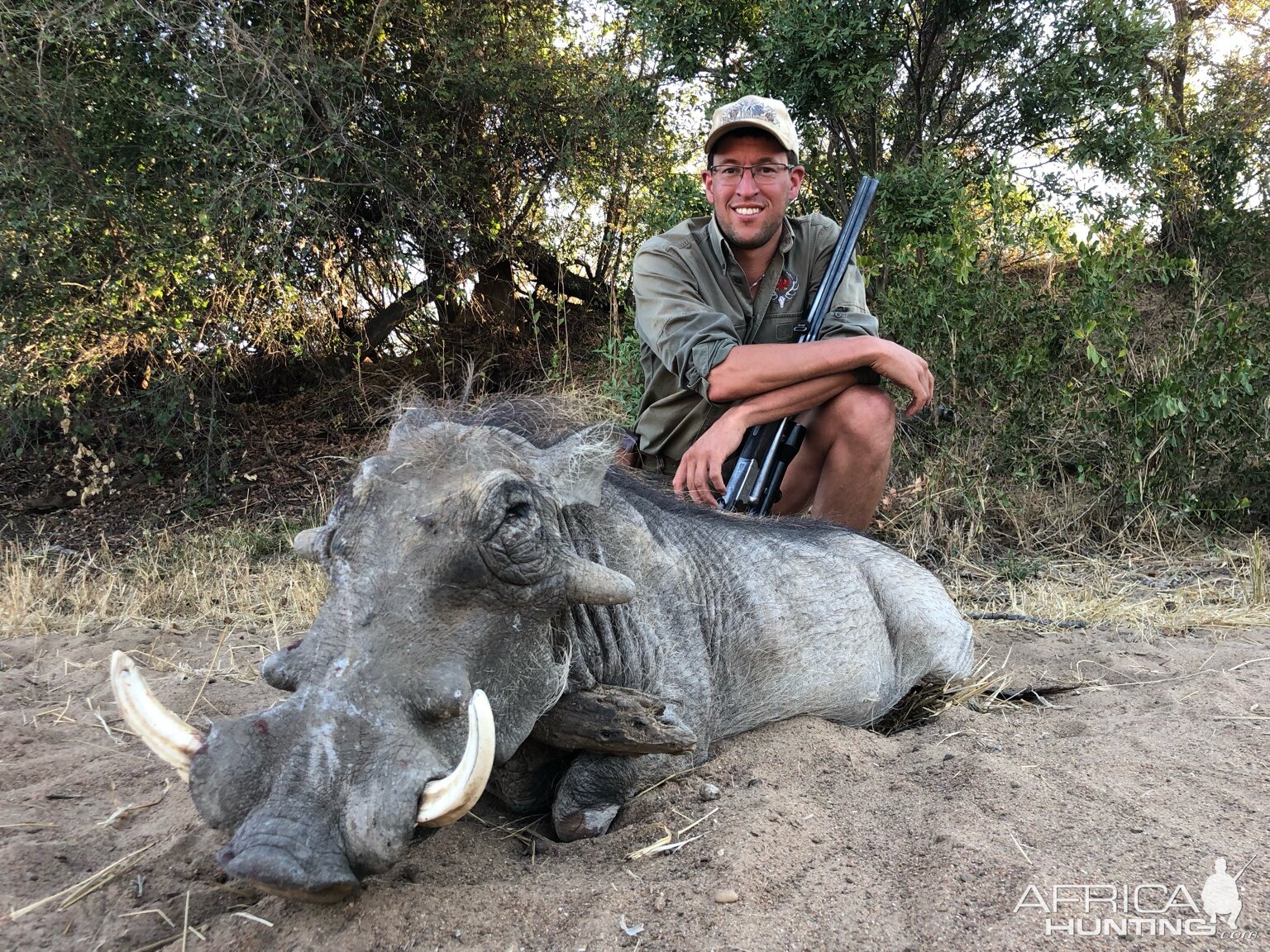 Warthog Hunt Zimbabwe