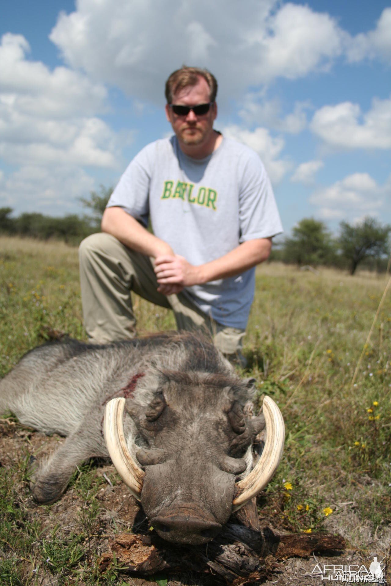 Warthog Hunt