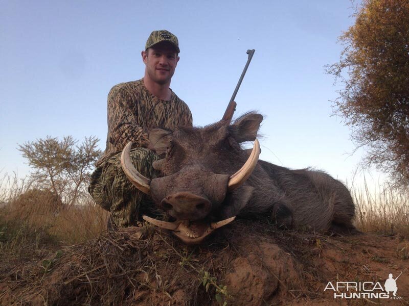 Warthog Hunt