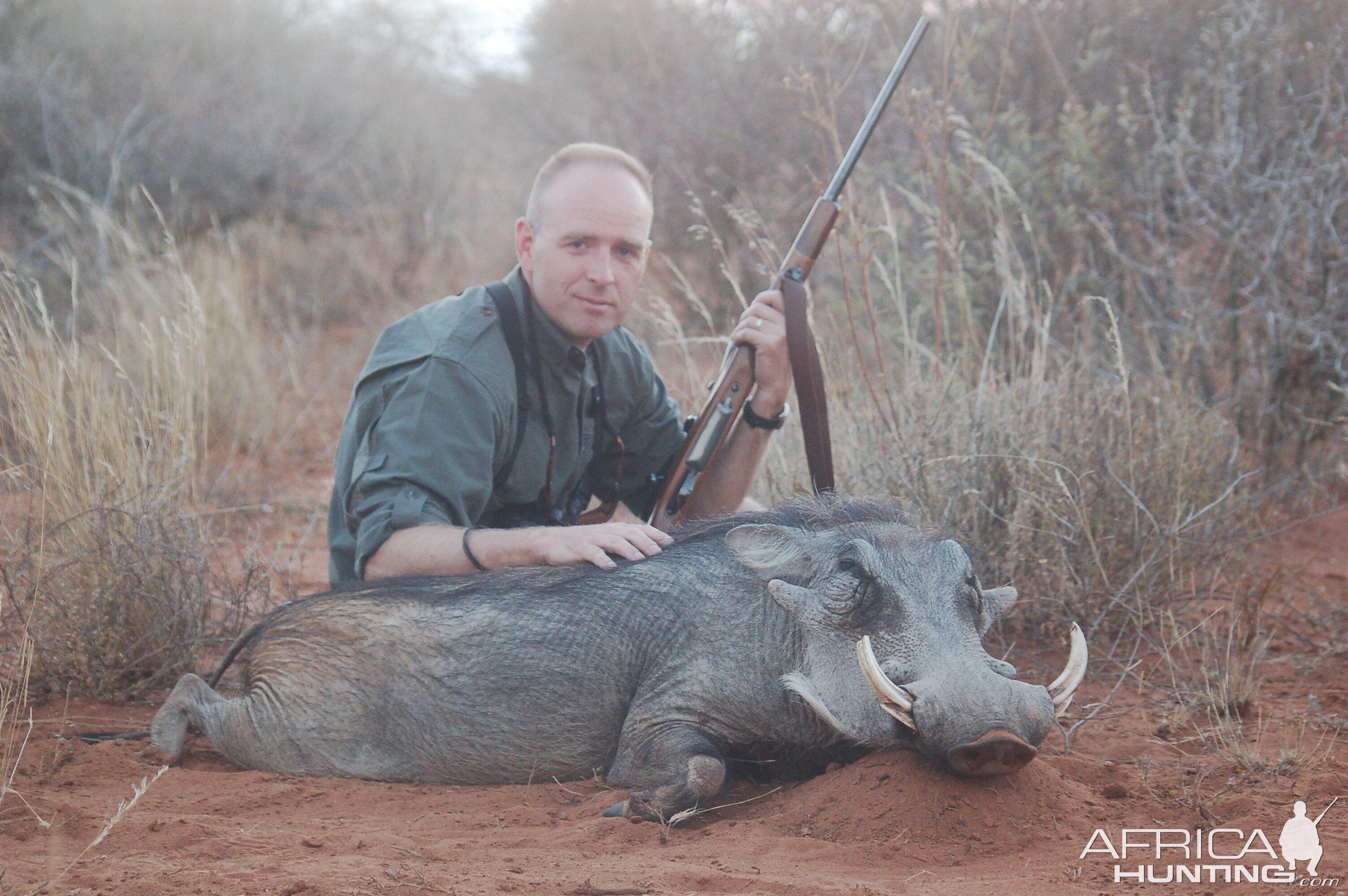 Warthog Hunt