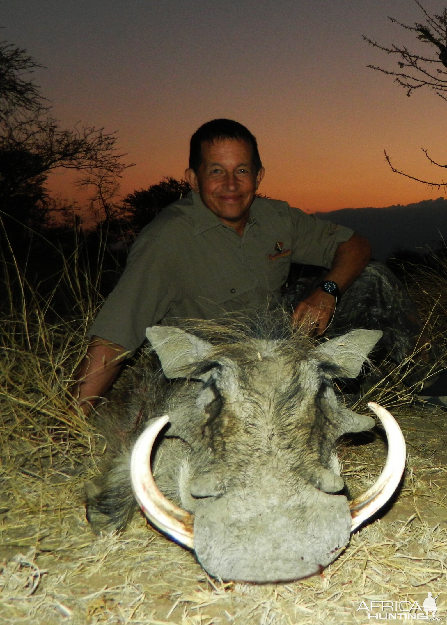 Warthog Hunt