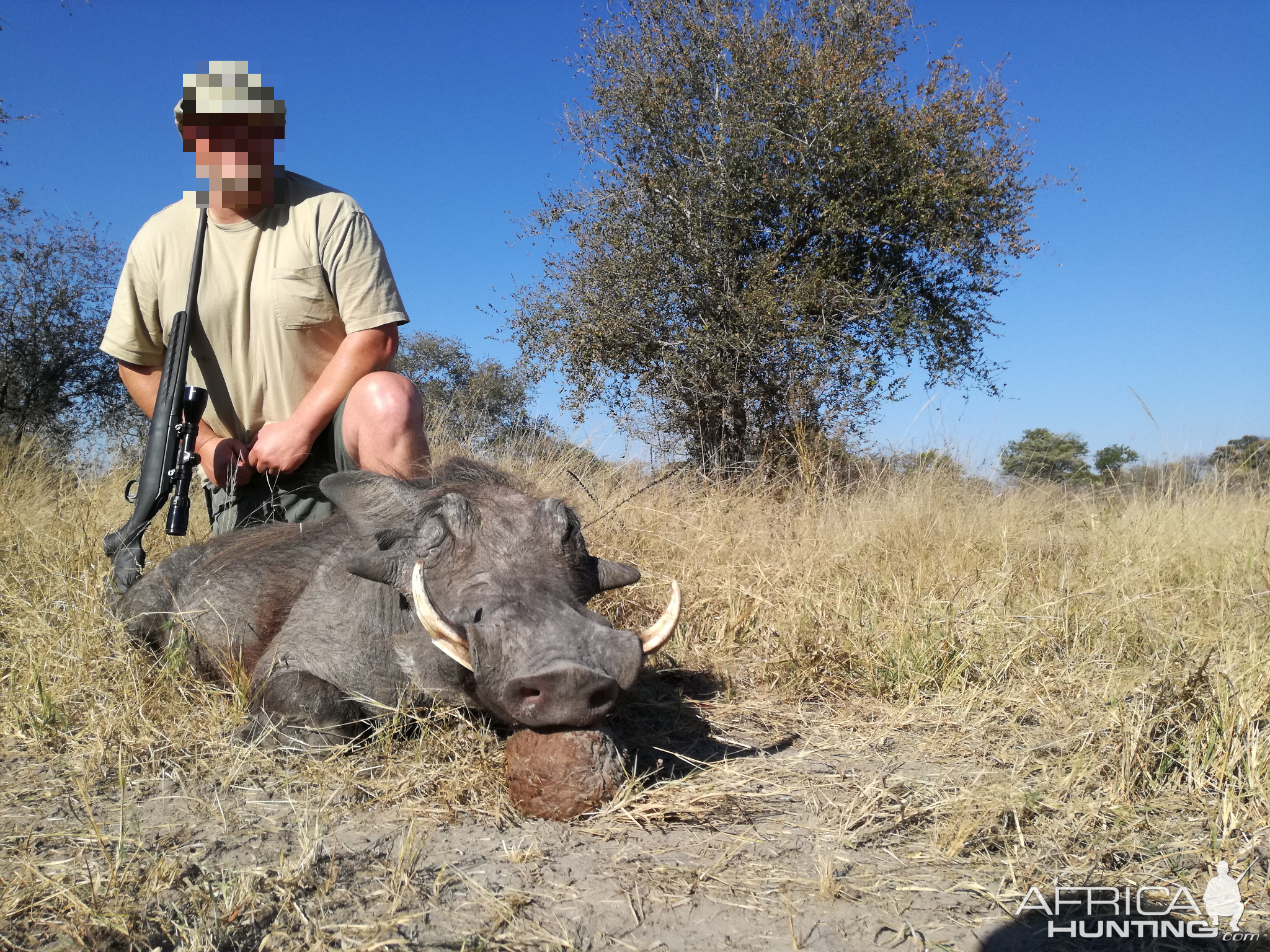 Warthog Hunt