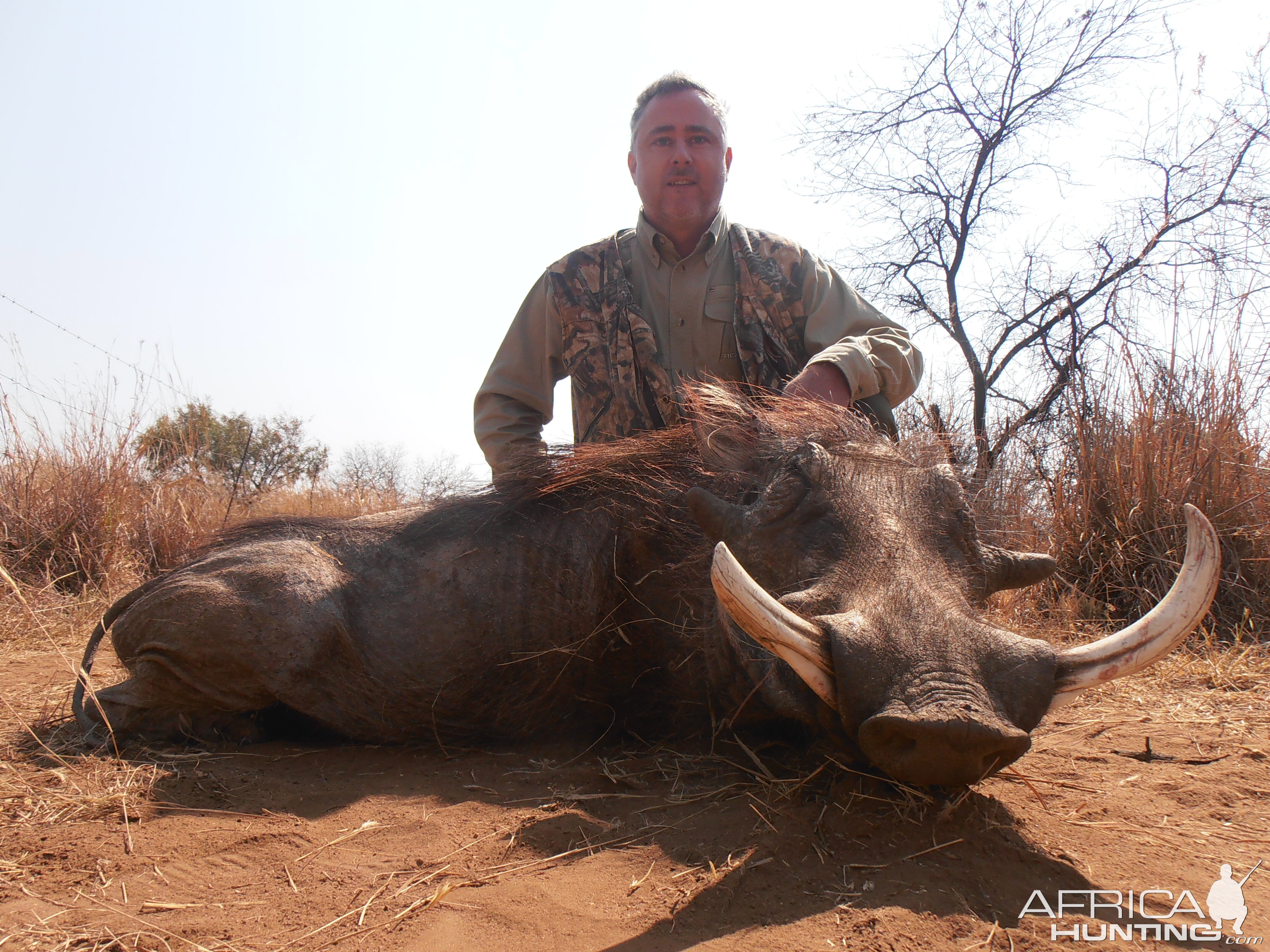 Warthog Hunt