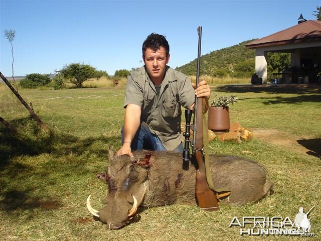 Warthog hunt