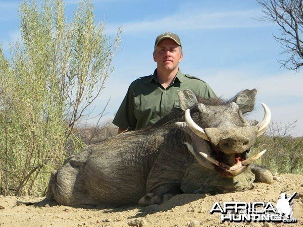 Warthog hunted at Westfalen Hunting Safaris Namibia