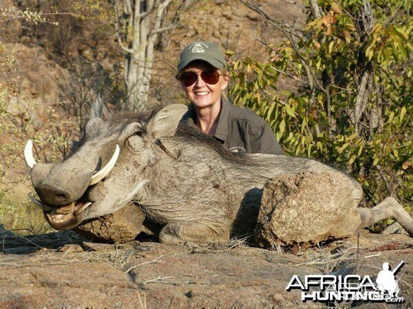 Warthog hunted at Westfalen Hunting Safaris Namibia