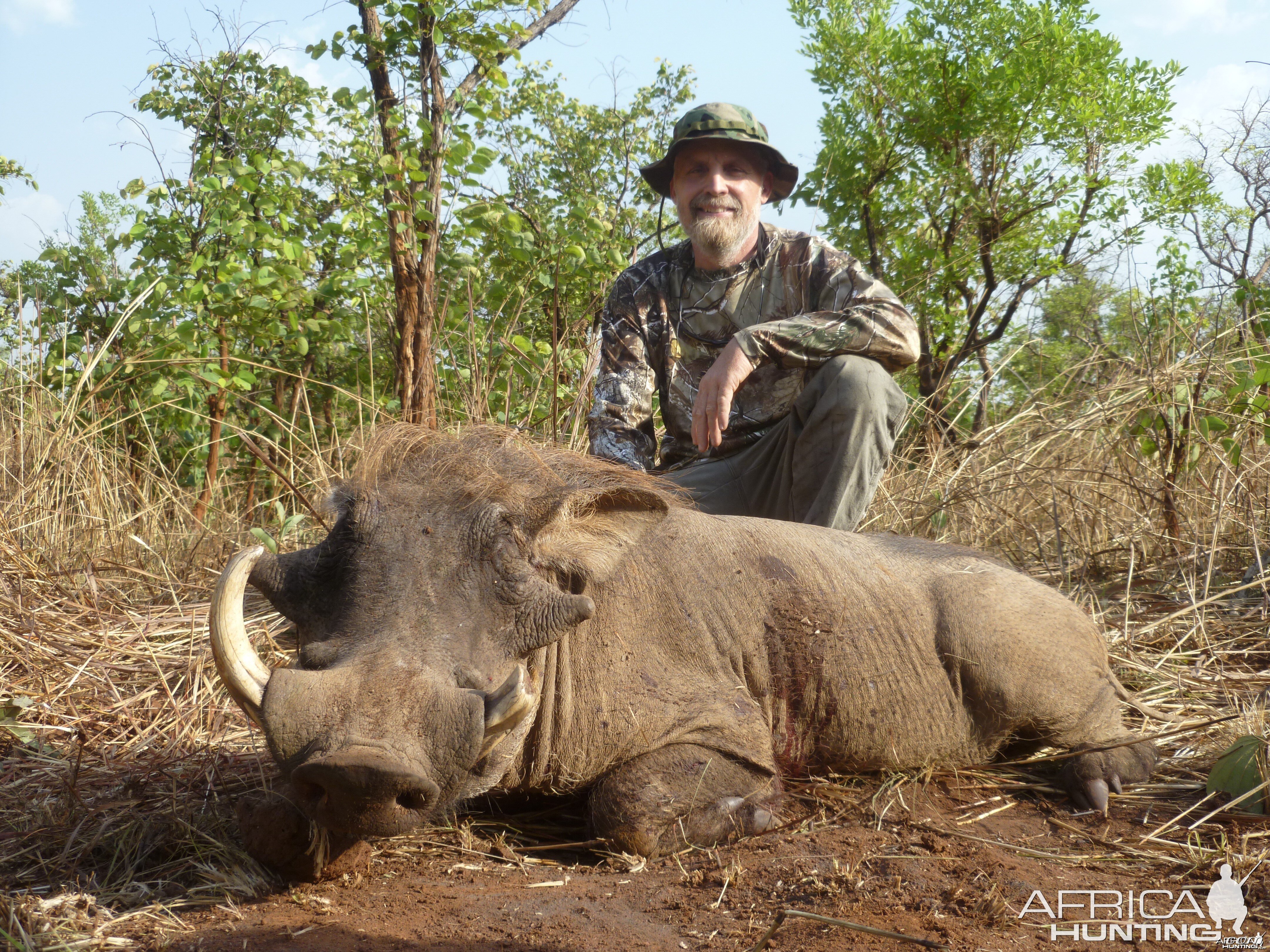 Warthog hunted in Central African Republic with CAWA