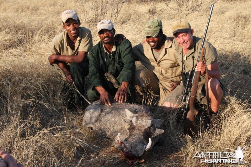 Warthog hunted in Namibia