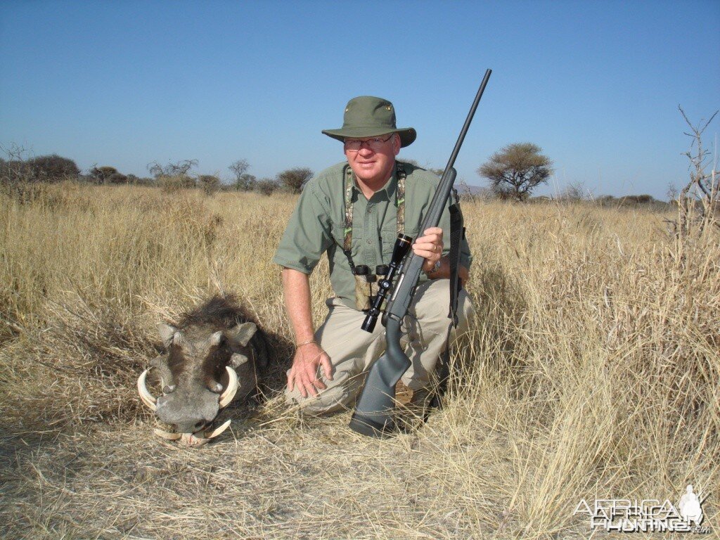 Warthog hunted in Namibia